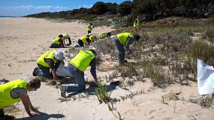 Meelup Volunteers Image