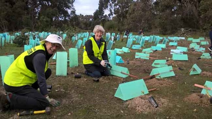 Library Preview: Meelup Volunteers