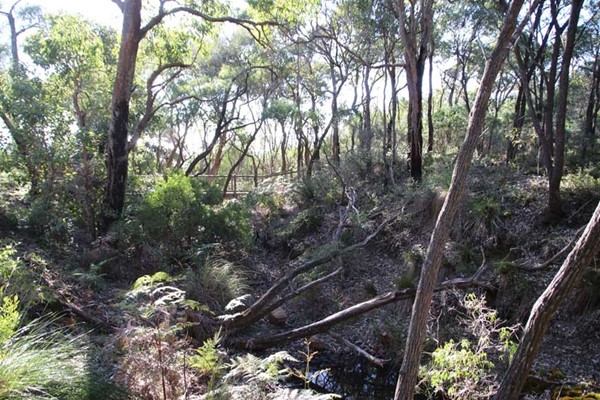 Image Meelup Park Waterways