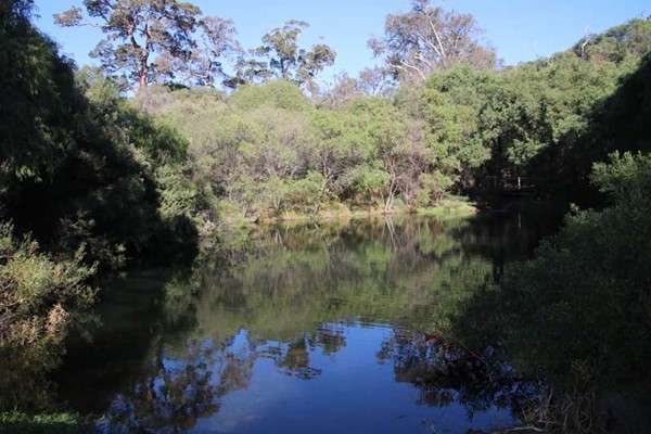 Image Meelup Park Waterways