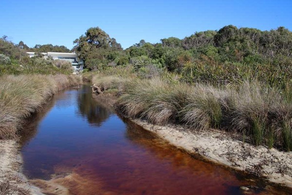 Image Meelup Park Waterways