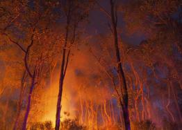 images/wildfires/1-Bushfire1.jpg
