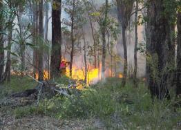 images/wildfires/2-bushfires.jpg